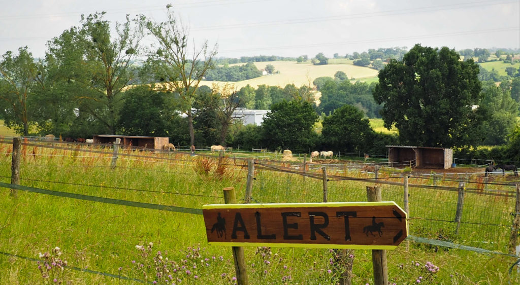 Site de Alert