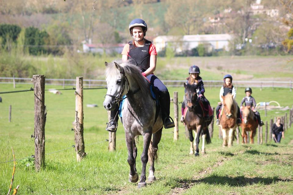 Jolis poneys au poney club d'ALERT situé aux portes de Toulouse