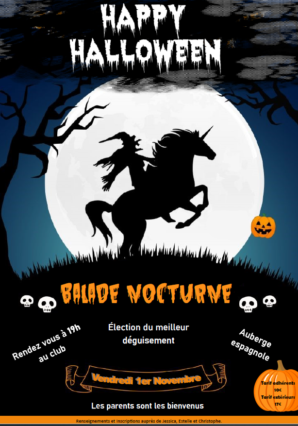 Balade nocturne au poney club d'alert à montrabé
